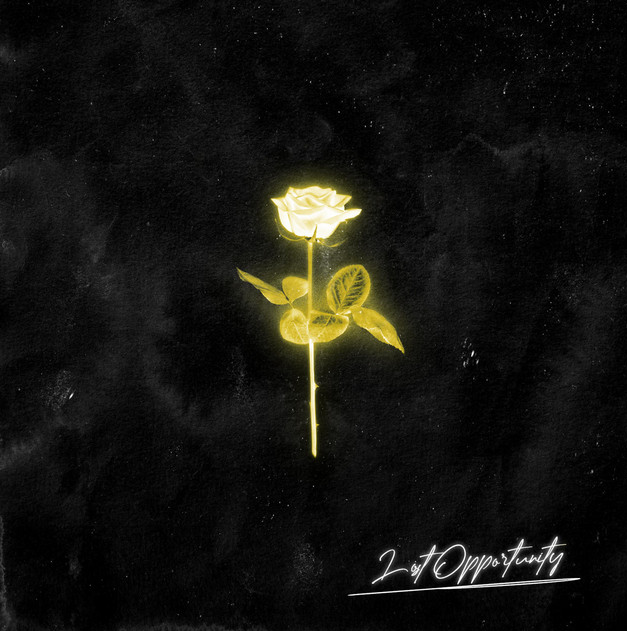 Lost Opportunity album cover